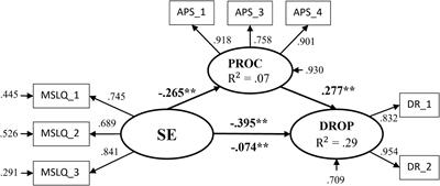 Academic Self-Efficacy, Procrastination, and Attrition Intentions